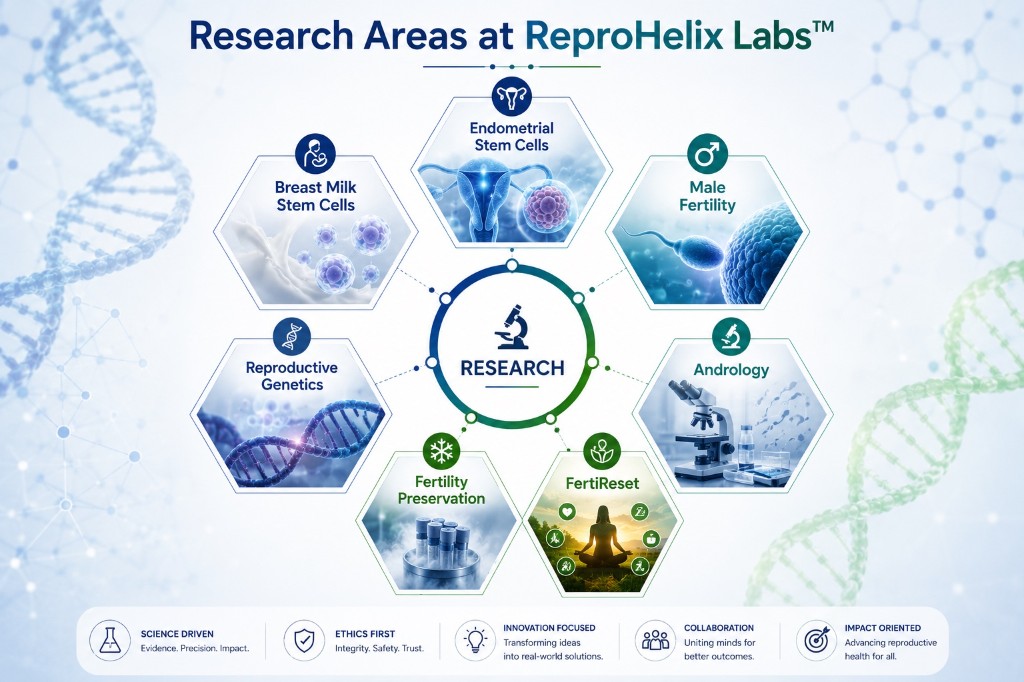 Research areas at ReproHelix Labs — stem cells, andrology, genetics, and fertility science